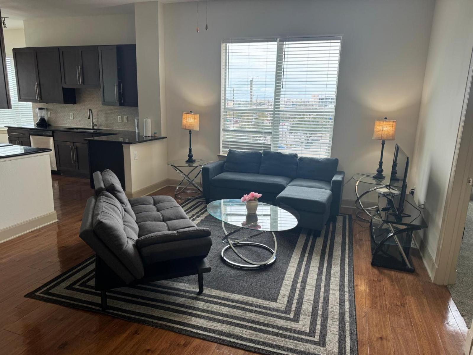 Gorgeous Furnished Apartments Near Texas Medical Center & Nrg Stadium Houston Phòng bức ảnh